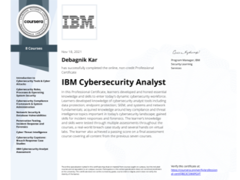 IBM_CS_Analysts_professionals